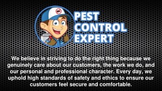 Pest Management Services in Dallas - Pest Control Expert