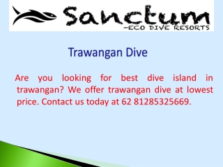 Trawangan Dive