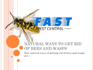 NATURAL WAYS TO GET RID OF BEES AND WASPS