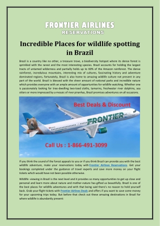 Incredible Places for wildlife spotting in Brazil