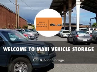 Information Presentation Of Maui Vehicle Storage