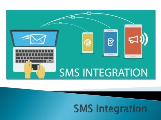 SMS Integration - Promoting Your Brand Was Never So Easy