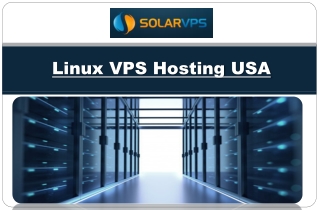 Linux VPS Hosting USA