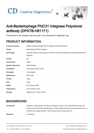 phic31 integrase