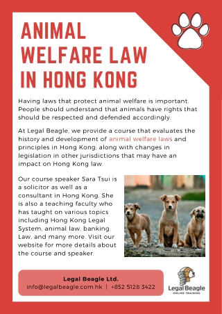 Animal Welfare Law in Hong Kong