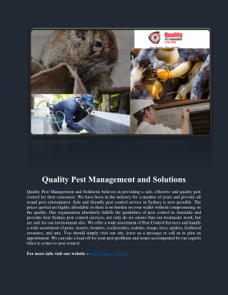 Sydney | Pest Control Services