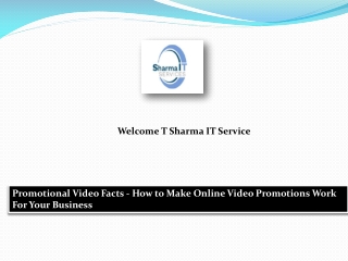 Promotional Video Facts - How to Make Online Video Promotions Work For Your Business