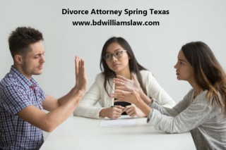 Family Law in Houston