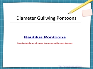 Diameter Gullwing Pontoons