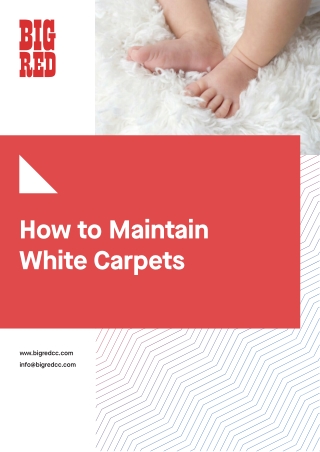 How to Maintain White Carpets