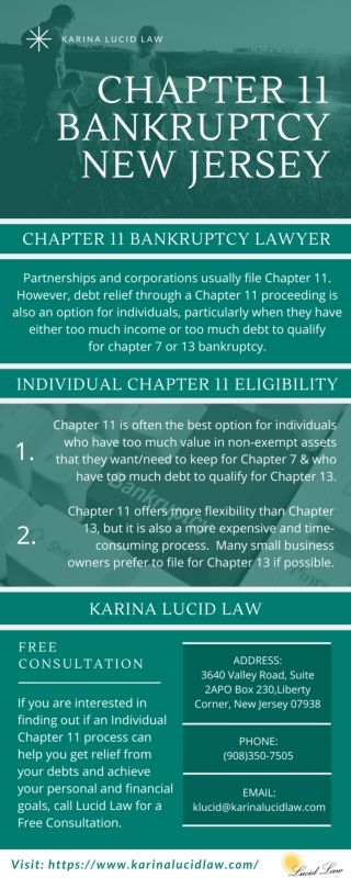 Chapter 11 Bankruptcy Attorney Liberty Corner | Karina Lucid Law