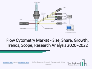 Flow Cytometry Market Worldwide Key Players, Comprehensive In Future 2022