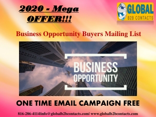 Business Opportunity Buyers Mailing data