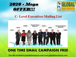 C- Level Executives Mailing List