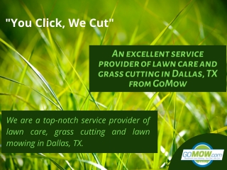 An excellent service provider of lawn care and grass cutting in Dallas, TX from GoMow