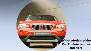 Which Models of the Car Contain Leather Interior