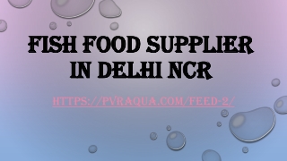 Fish food supplier in Delhi NCR