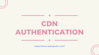 What is CDN Authentication?