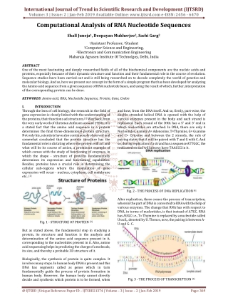 Computational Analysis of RNA Nucleotide Sequences