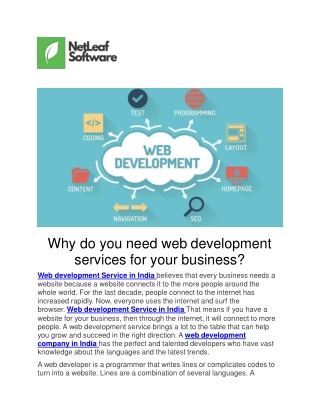 Why do you need web development services for your business?