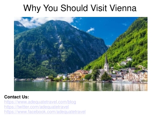 Why You Should Visit Vienna