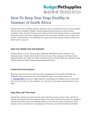 How To Keep Your Dogs Healthy in Summer of South Africa- BudgetPetSupplies