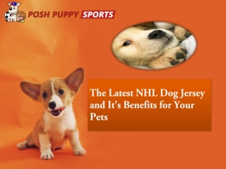 The Latest NHL Dog Jersey and It’s Benefits for Your Pets