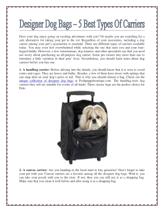 Designer Dog Bags – 5 Best Types Of Carriers