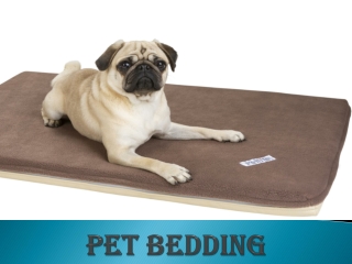 PET BEDDING