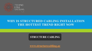 Why is Structured Cabling Installation the hottest trend right now