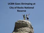 UCBN Goes Shrimping at City of Rocks National Reserve
