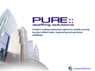 Pure Staffing Solutions | Leading Employment Agency in Canada