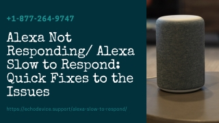 Annoy with Alexa Not Responding or Slow to Respond Error –Call & Get Quick Help