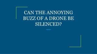 CAN THE ANNOYING BUZZ OF A DRONE BE SILENCED?