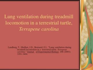 Lung ventilation during treadmill locomotion in a terrestrial turtle, Terrapene carolina