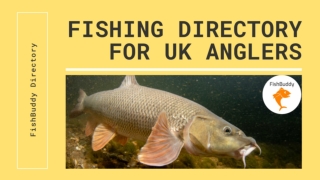 Fishing Directory Website for Listings & Fishing Tackle Shop