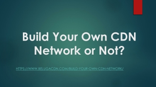 Why Build Your Own CDN Network?