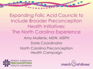 Expanding Folic Acid Councils to Include Broader Preconception Health Initiatives: The North Carolina Experience