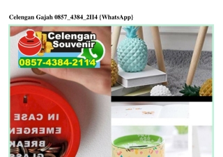 Celengan Gajah Ö85743842114[wa]