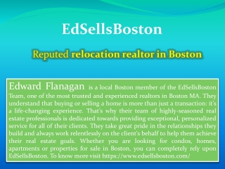 Reputed relocation realtor in Boston