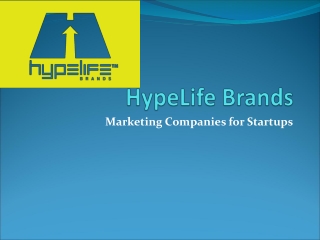 Startup Marketing Companies