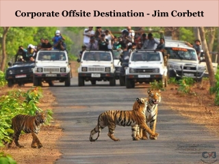 Namah Resort in Jim Corbett | Corporate Events in Jim Corbett