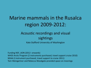 Marine mammals in the Rusalca region 2009-2012: