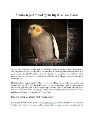 5 Advantages Offered by the Right Pet Warehouse