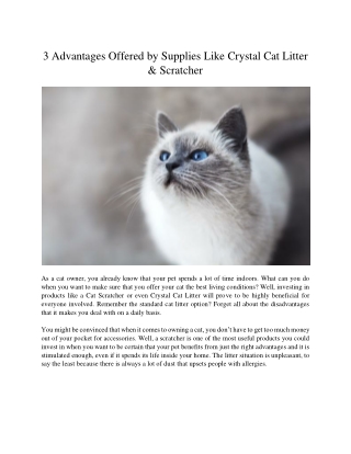 3 Advantages Offered by Supplies Like Crystal Cat Litter & Scratcher