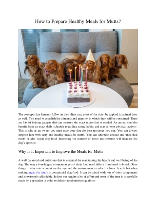 How to Prepare Healthy Meals for Mutts?
