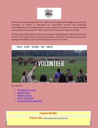 Save the elephants organization with Our volunteer