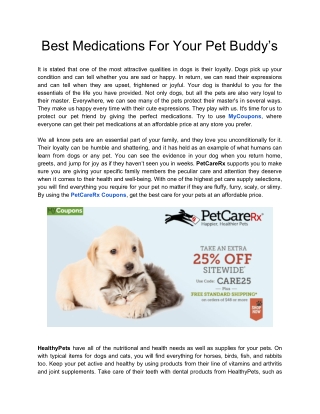 Best Medications For Your Pet Buddy’s