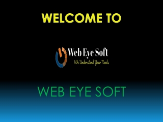 Get Cheap Web Hosting from Web Eye Soft