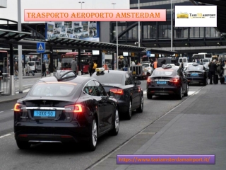 Trasporto Aeroporto Amsterdam